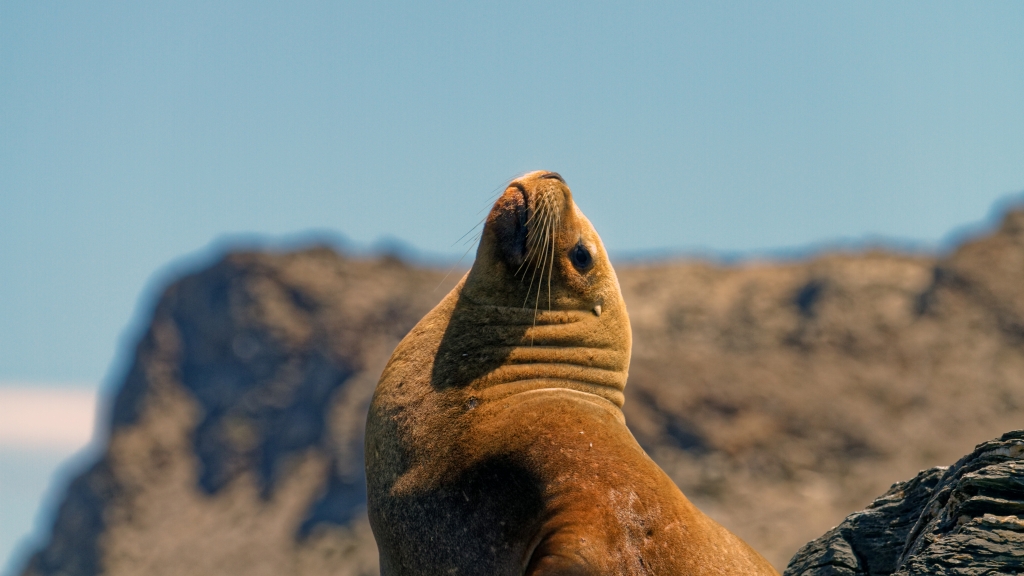 03 - La Serena (16).jpg